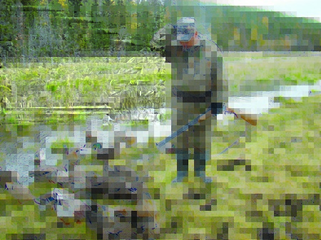 Ээх, патроны кончились((((
