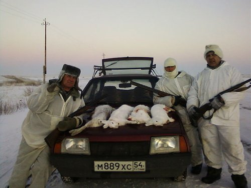 не плохо потропили