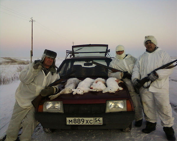 не плохо потропили