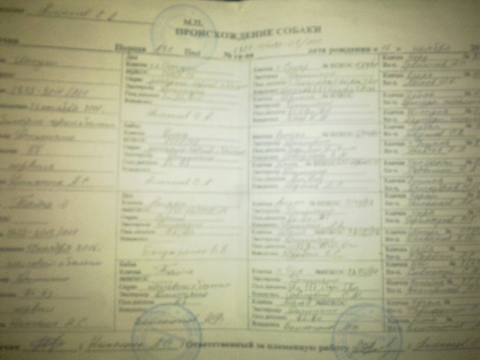 Родословная