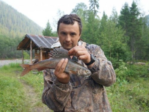 Леопард сибирских рек