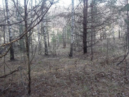 Осень