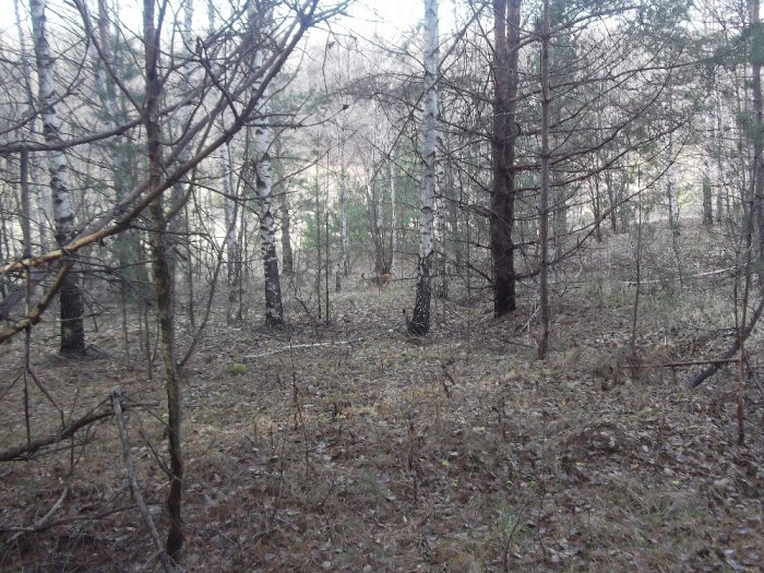 Осень