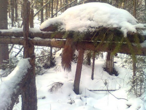 кулемка