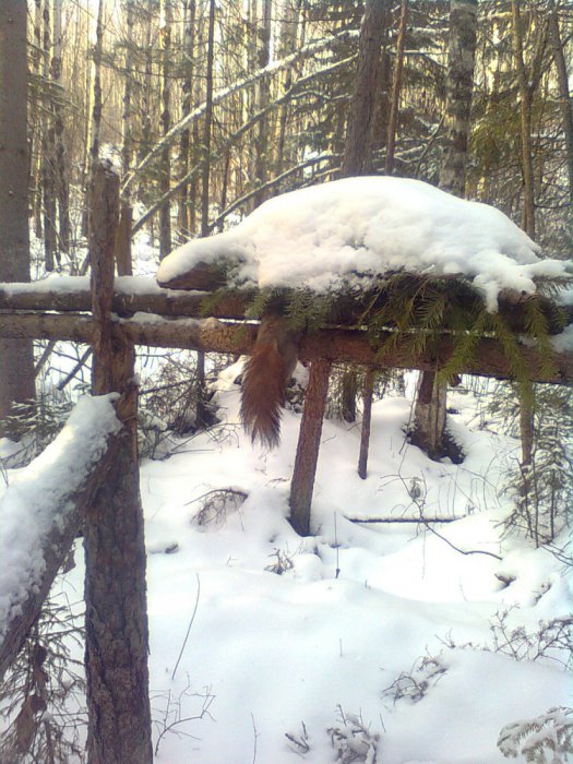 кулемка