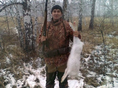 Беляк 2013-го