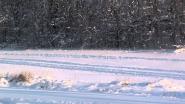 Охота на зайца