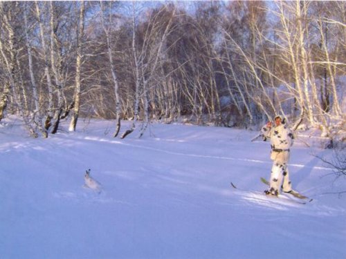 31.01.2009