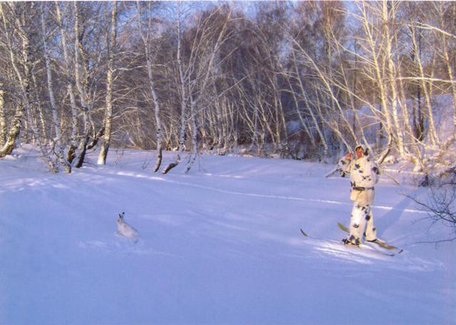 31.01.2009