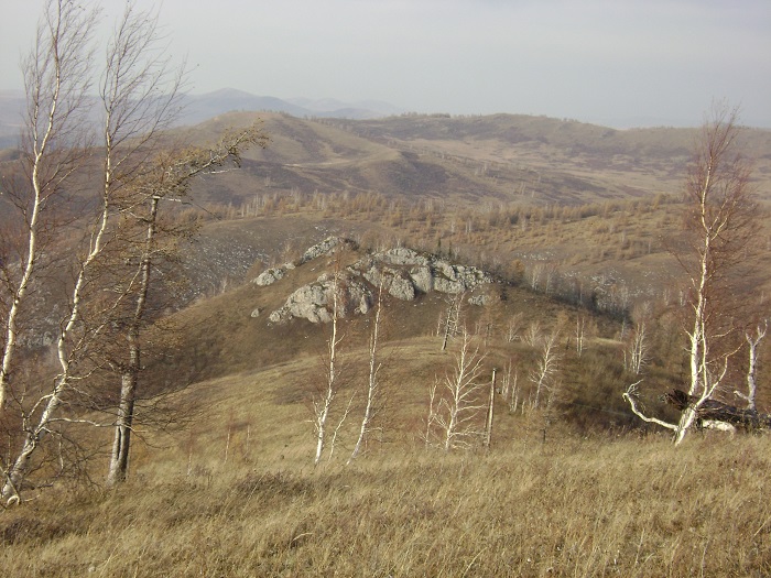 За день до снега