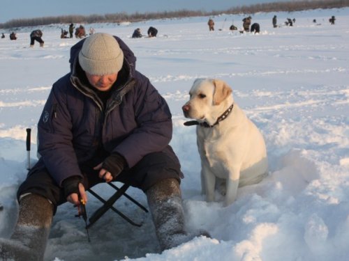 Клюет?
