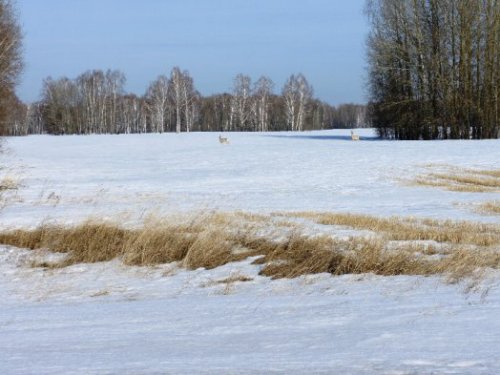 Тяжко по снегу