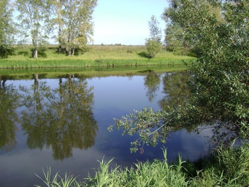 Ни ветерка