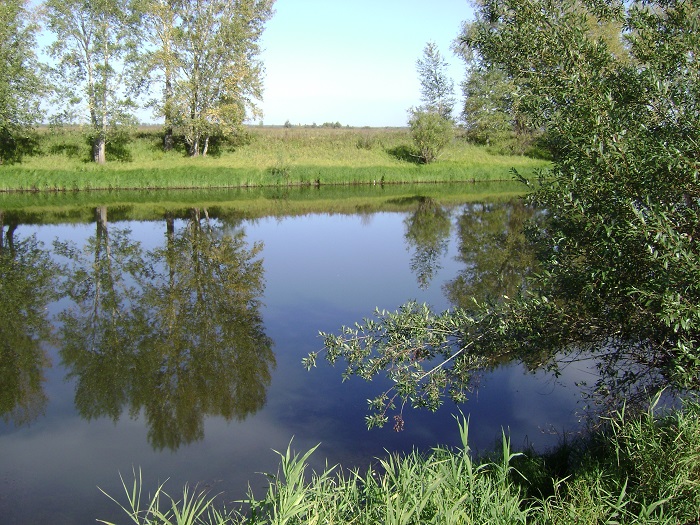 Ни ветерка