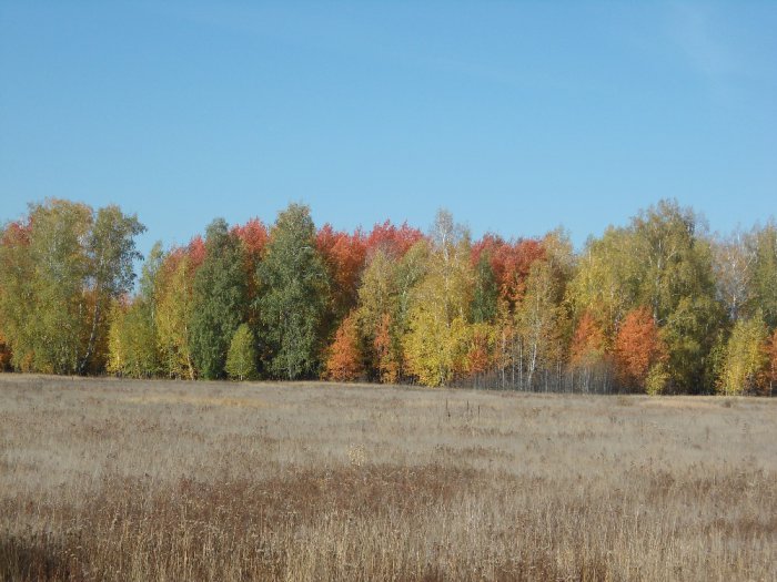 Осень