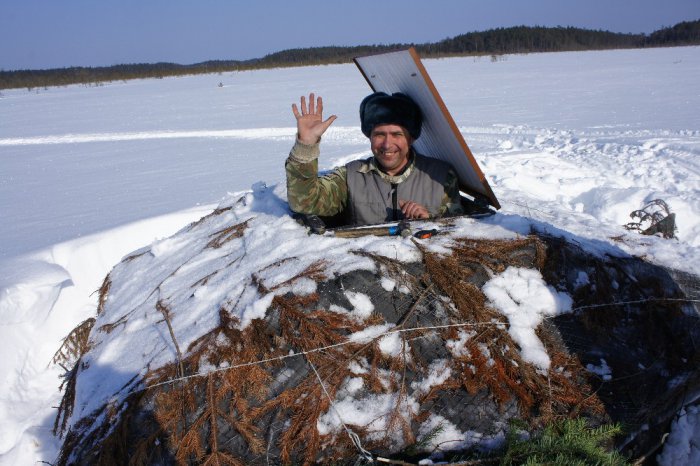 Всем привет!