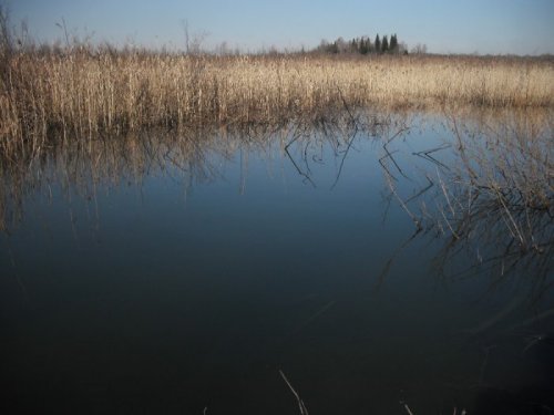 Весна.Озеро.