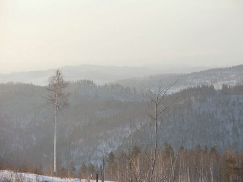 Красота