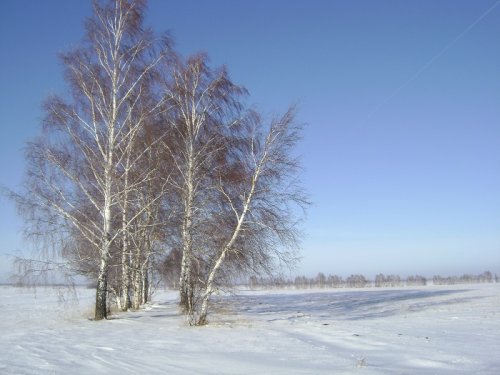 Русачиные места