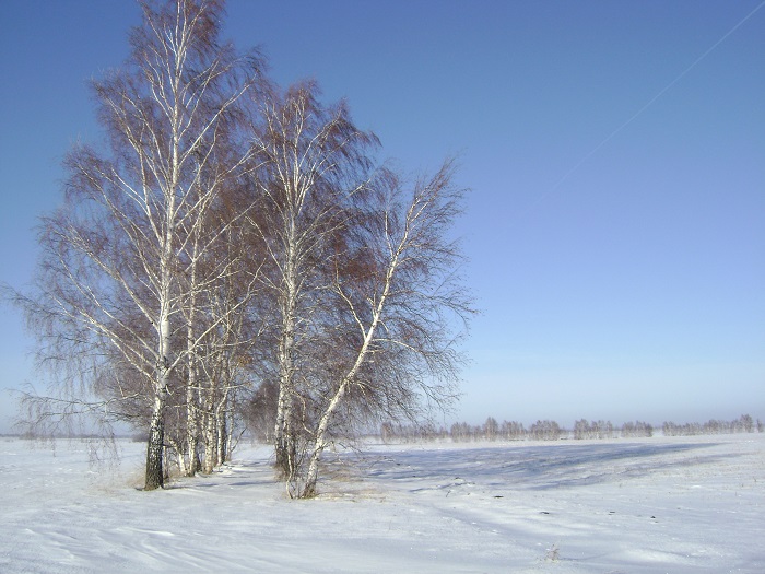 Русачиные места
