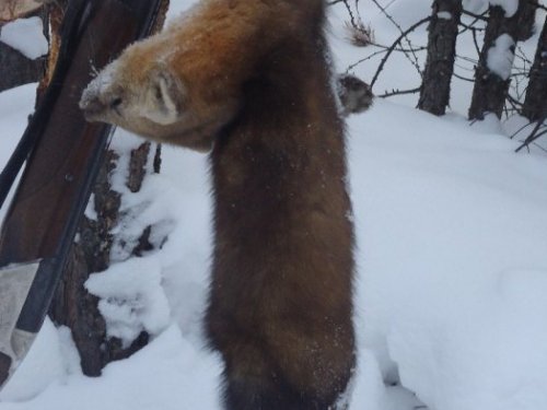 Скорей бы новый сезон!
