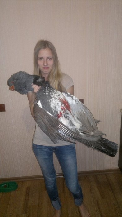 было дело!!