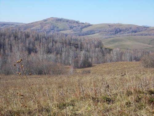 Краски осени