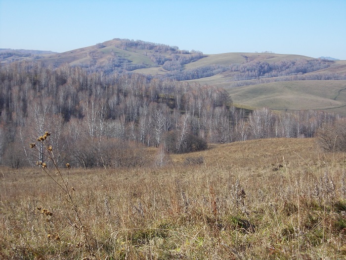 Краски осени