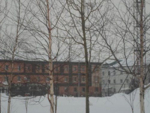 куропатки