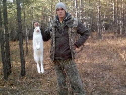 Зайка октябрь