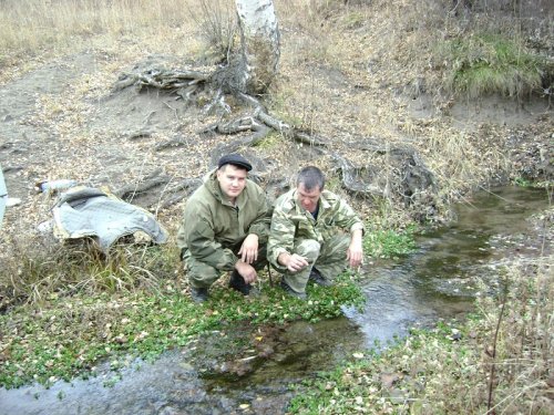 Пить или не пить?