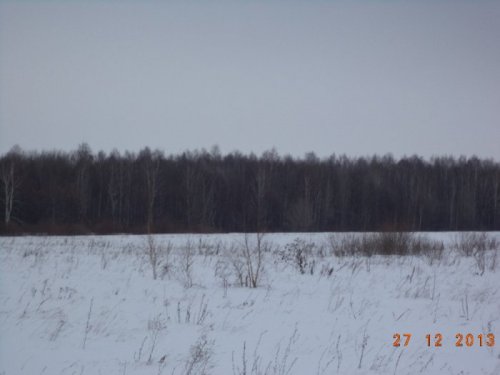 лес