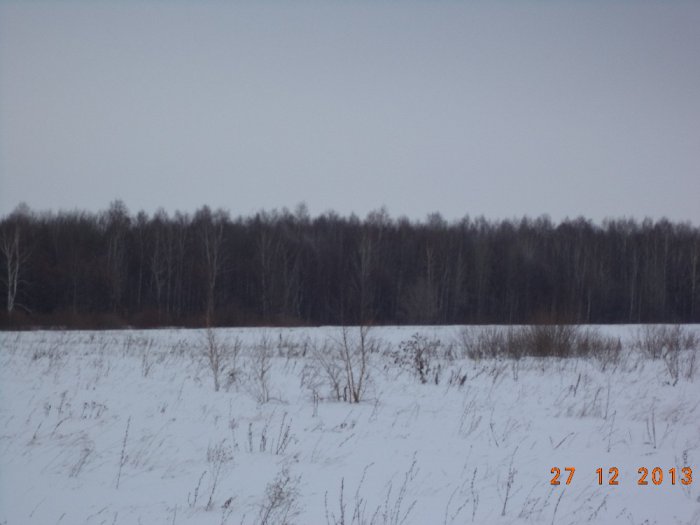 лес