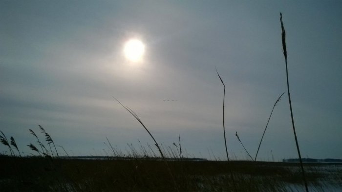 Весна,где то там силуэты первых лебедей )