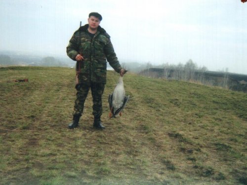 Гусик
