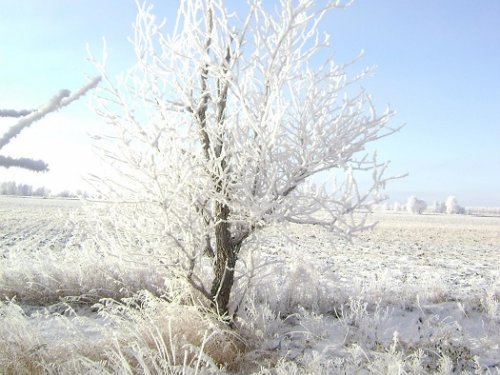 Куржак