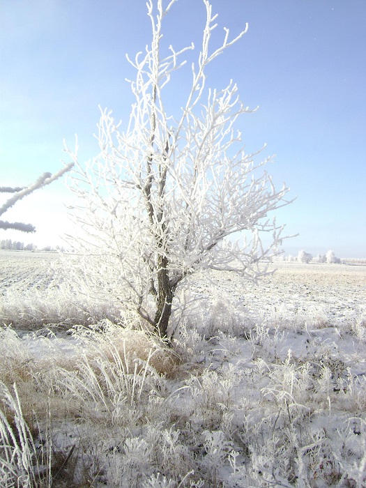 Куржак