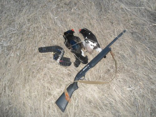 на току 2012г