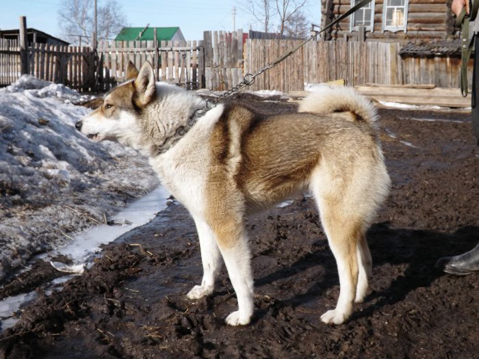 гроза