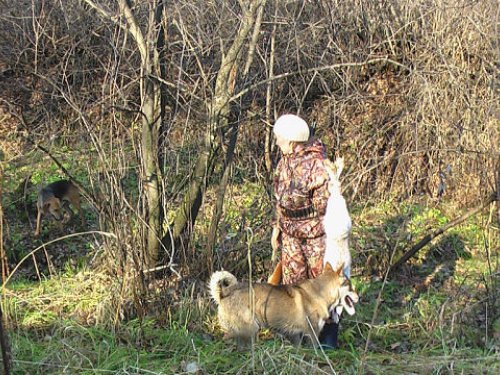 Заполевали.