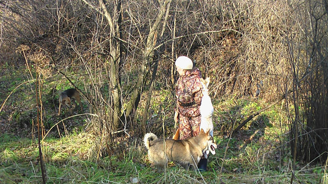 Заполевали.