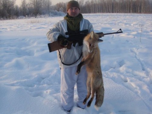 лис