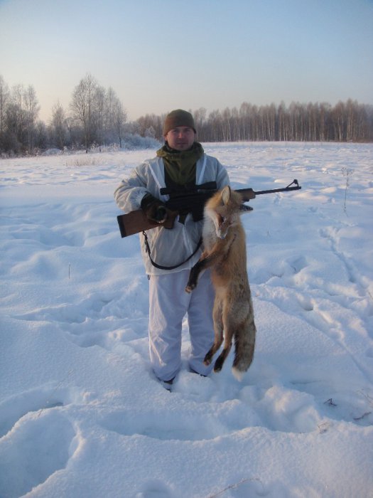 лис