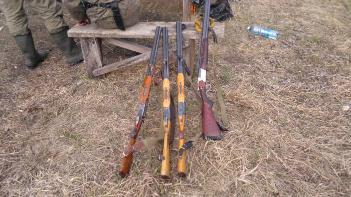 открытие на утку август 2012
