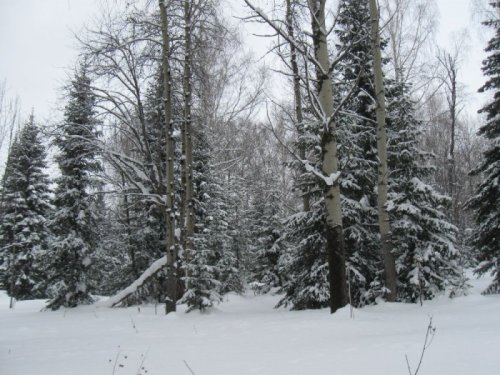 Без комментариев