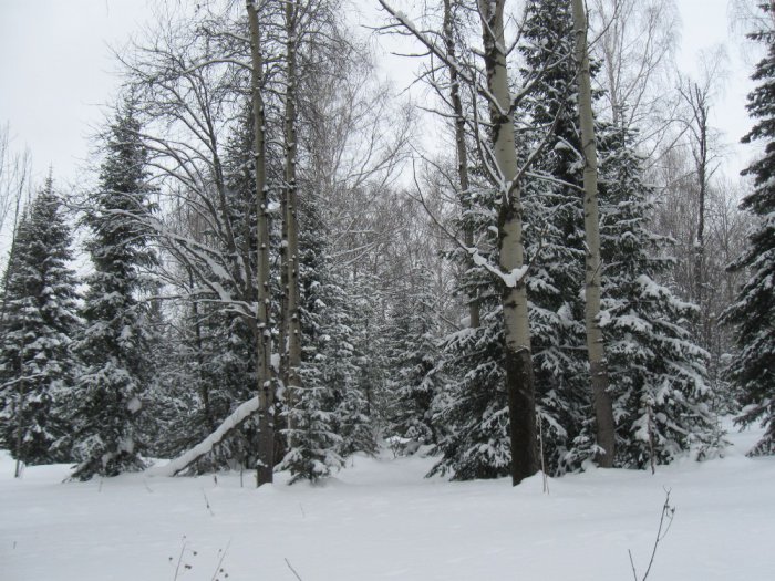 Без комментариев