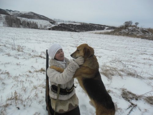 За зайцами