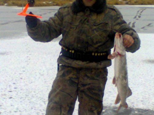 1,5 кг