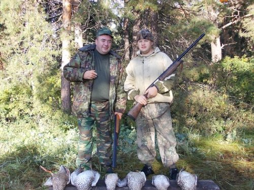 Утро в сосновом лесу