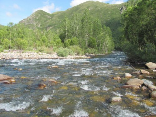 Красота природы в её жизни